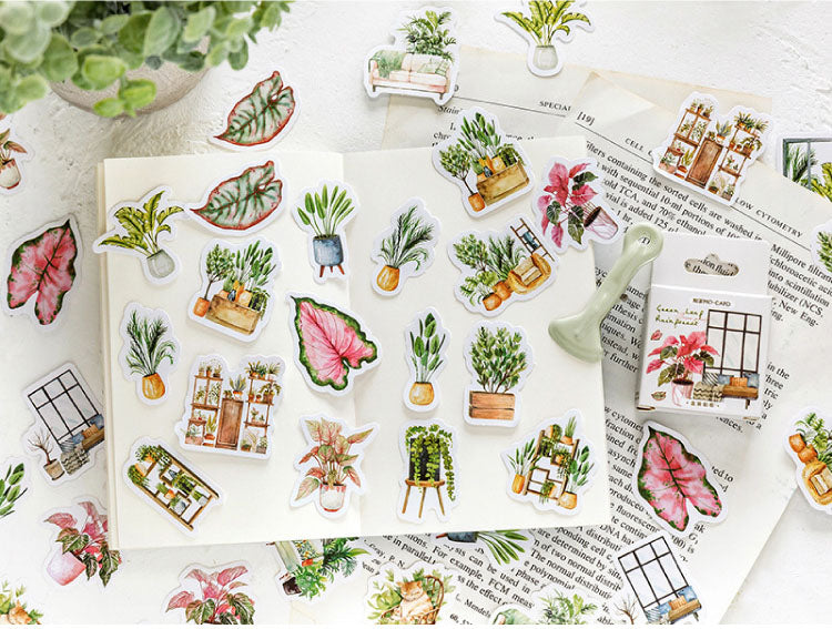 Indoor Plants Stickers Box