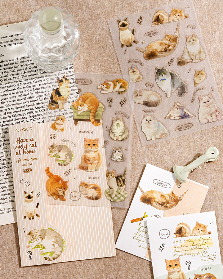 Shallow Time Transfer Stickers