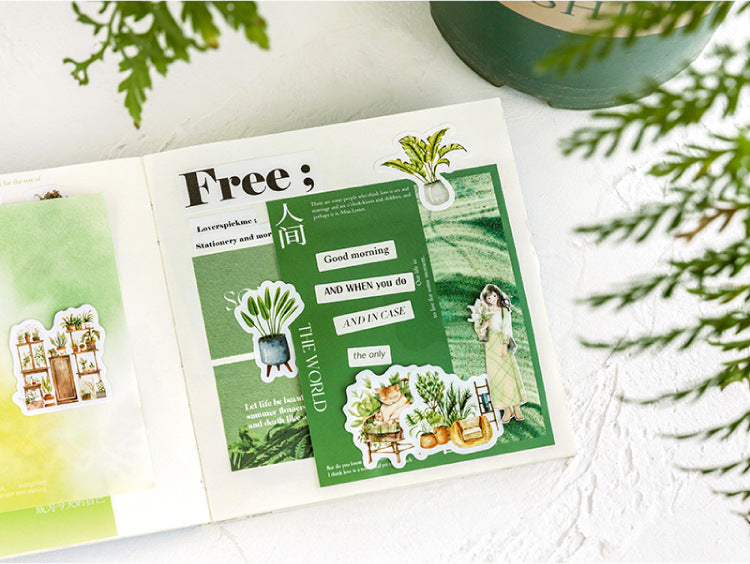 Indoor Plants Stickers Box