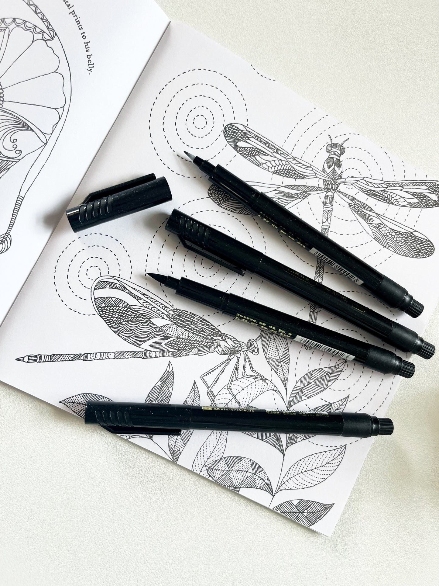 Black Sketch & Brush Pen