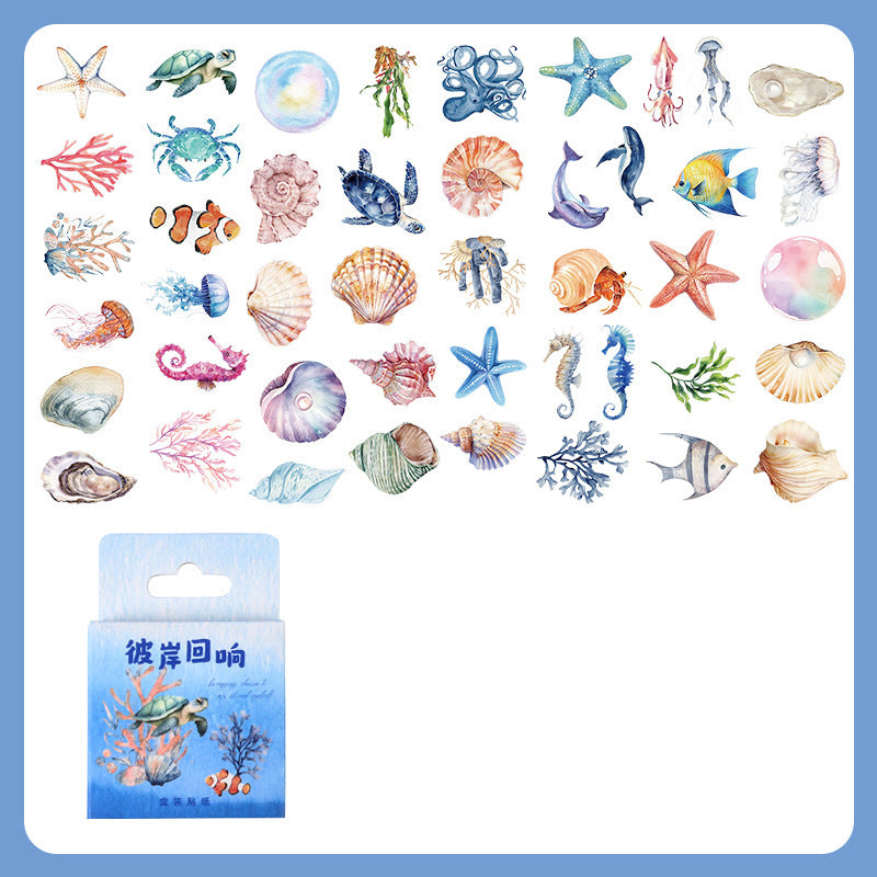 Seashell Stickers Box