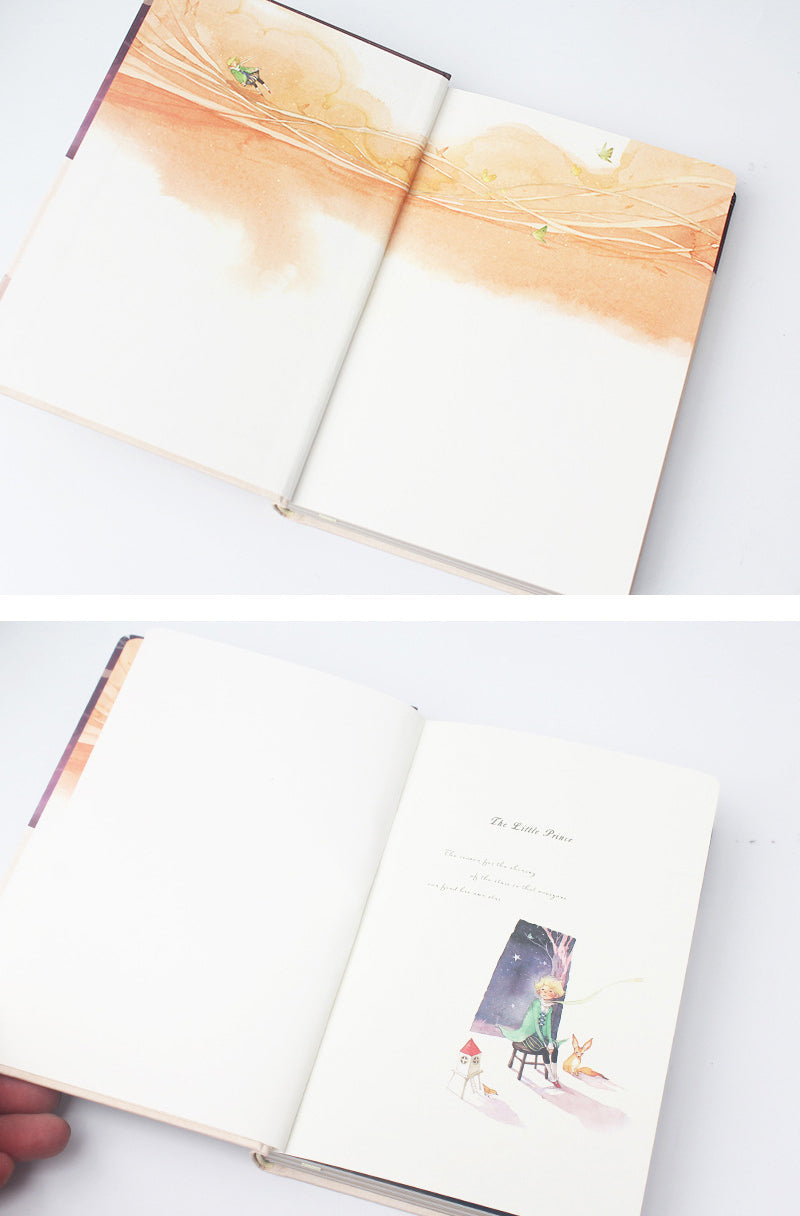 The Little Prince Diary
