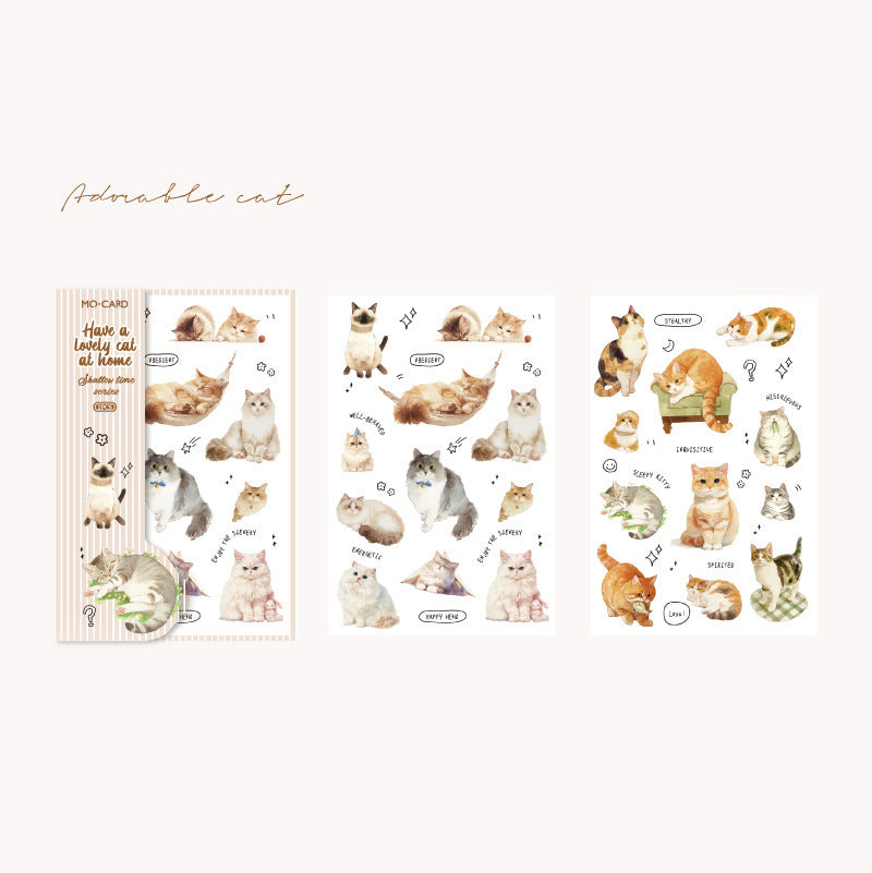 Shallow Time Transfer Stickers