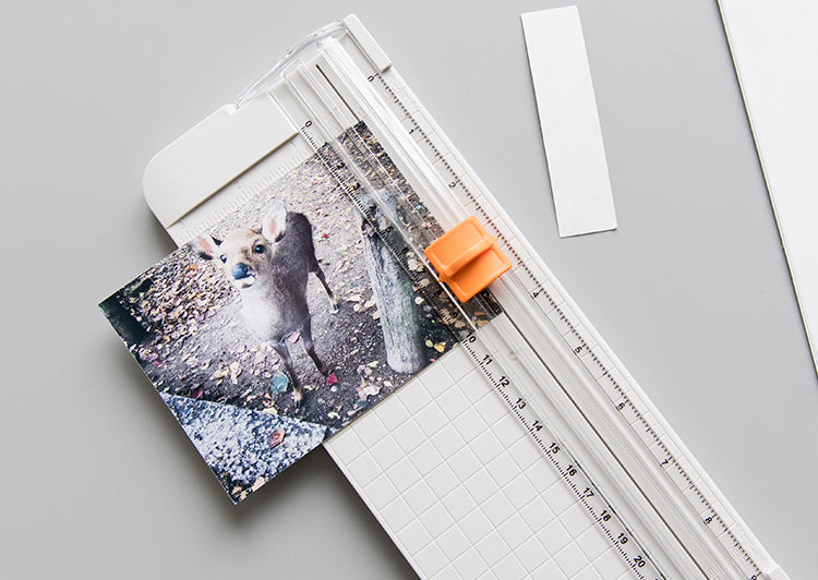 Paper cutter for scrapbook papers and other craft projects
