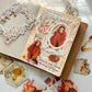 September Autumn Spread Material Pack