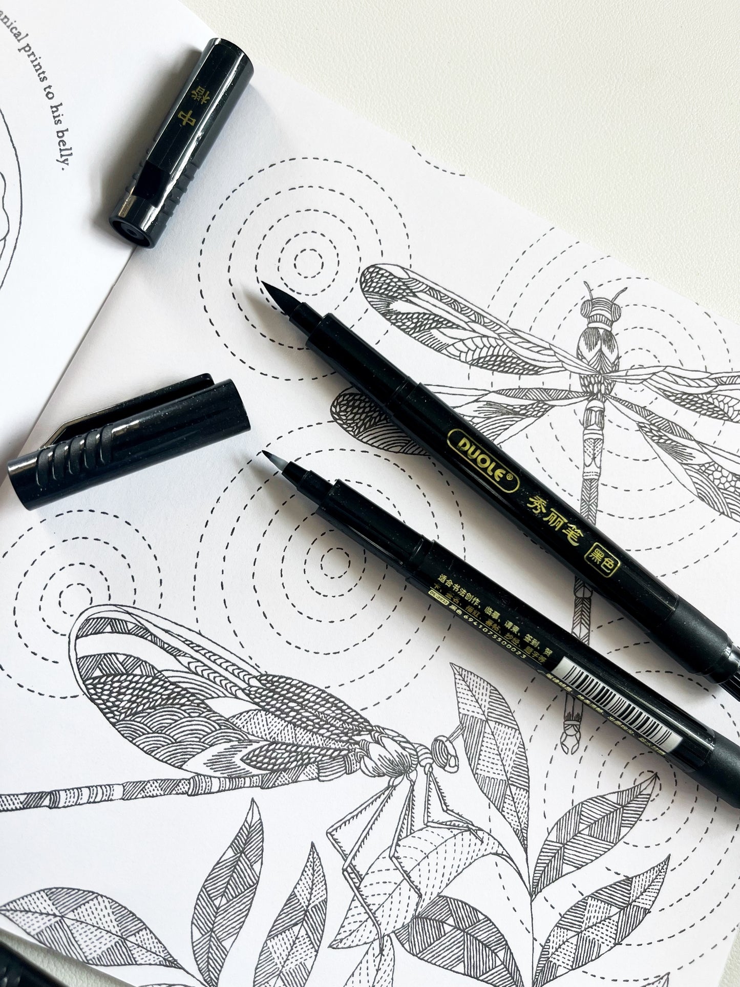 Black Sketch & Brush Pen