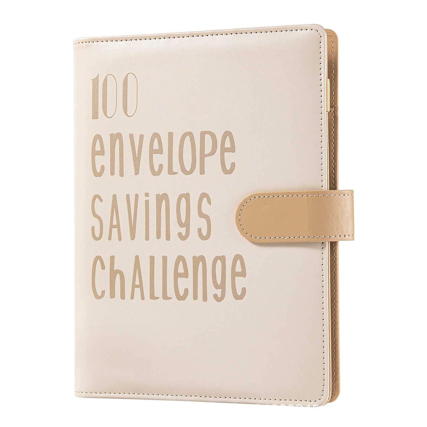 100 Envelope Budget Binder