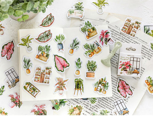 Indoor Plants Stickers Box