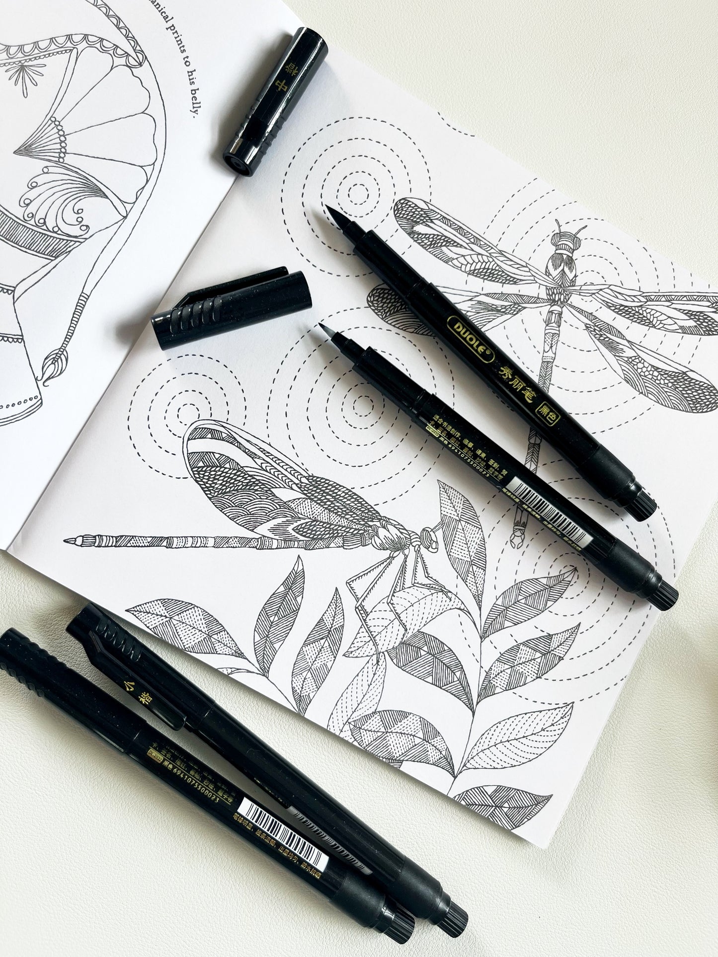 Black Sketch & Brush Pen
