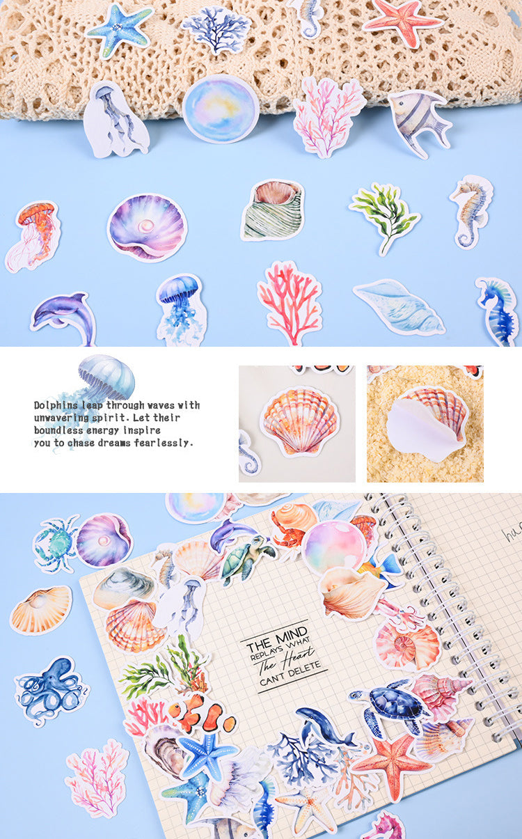 Seashell Stickers Box