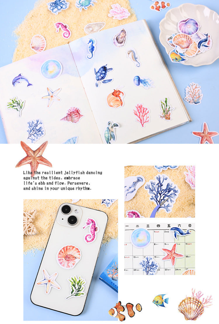 Seashell Stickers Box