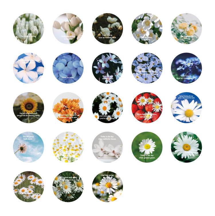 Flowers Bloom Stickers Box