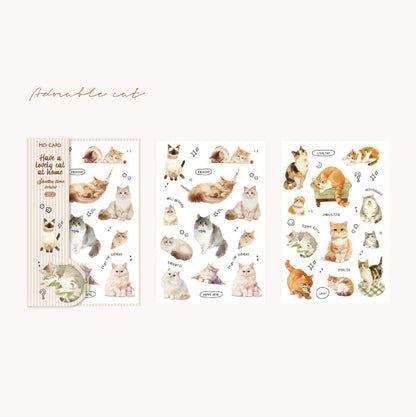 Shallow Time Transfer Stickers