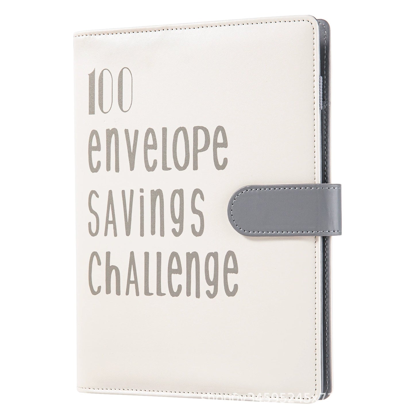 100 Envelope Budget Binder