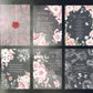 Wilderness Series Transparent Paper Set