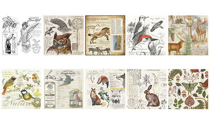 Vintage Square Papers & Stickers Set