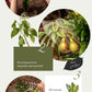 Bronze Highlights Plants Stickers