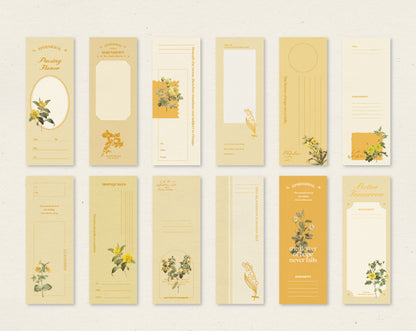 Beautiful Time Paper Pack